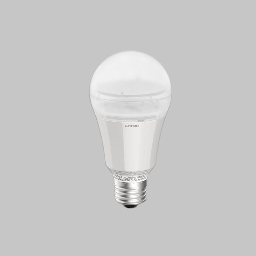 Rania A20 Lamp