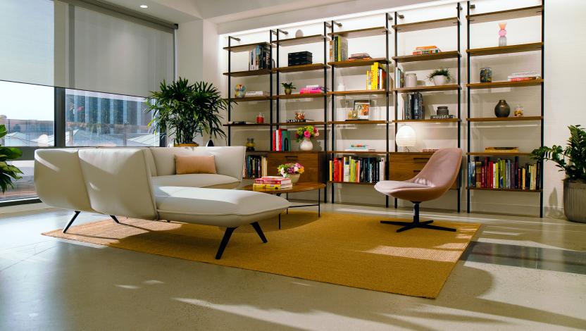 Casual office waiting area with decorated bookcase, couch, chair, and orange rug. 