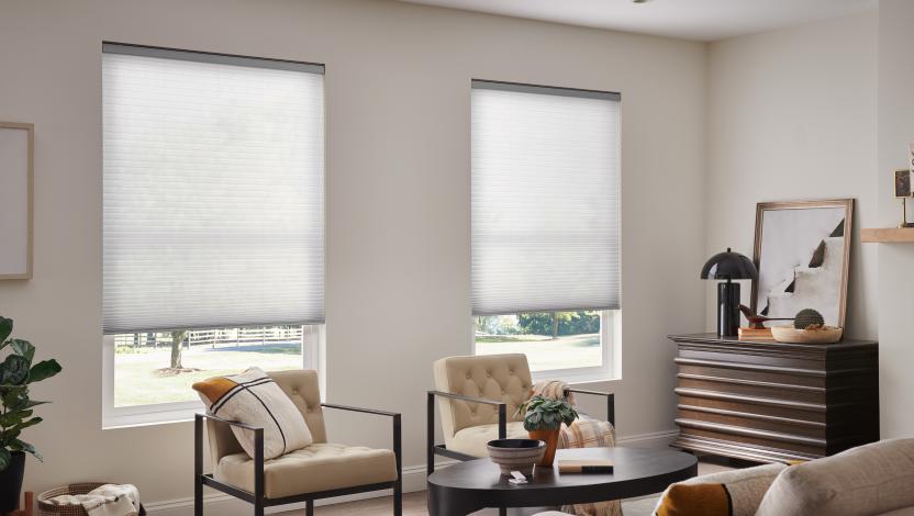 Triathlon architectural honeycomb cellular shade, a wireless motorized smart window treatment