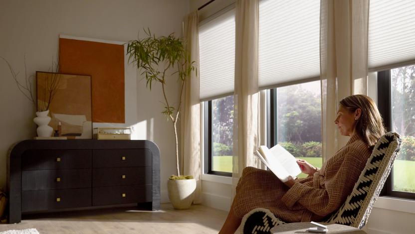 A Northeast private residence bathroom with Lutron Serena & Honeycomb Shades