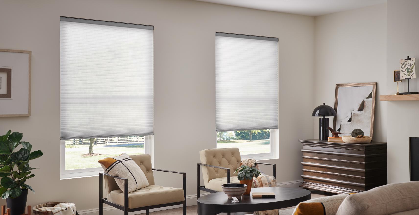Triathlon architectural honeycomb cellular shade, a wireless motorized smart window treatment