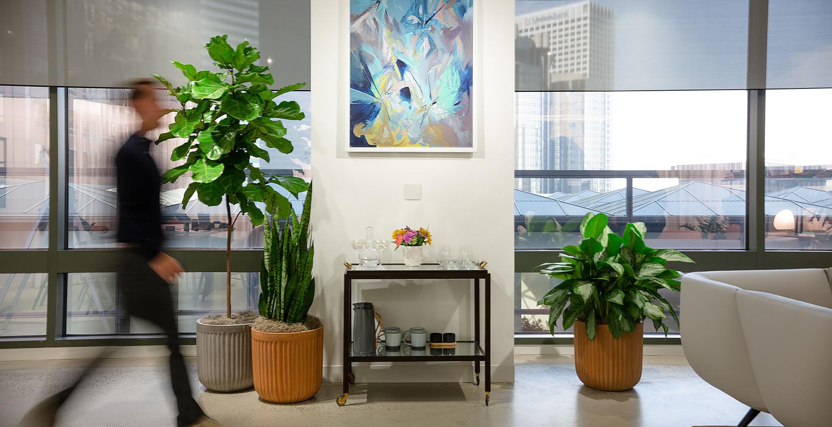 Contemporary office interior with neutral palette, tile floor, several potted plants, and grey roller fabric on the windows. 