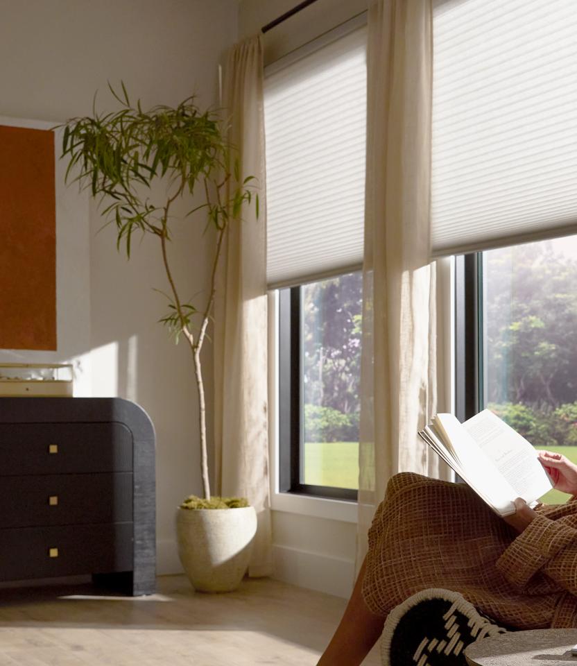 A Northeast private residence bathroom with Lutron Serena & Honeycomb Shades