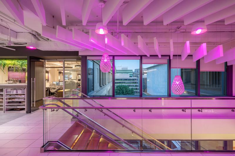stairs-page-southerland-page-pink-scene-selector-magenta.jpg