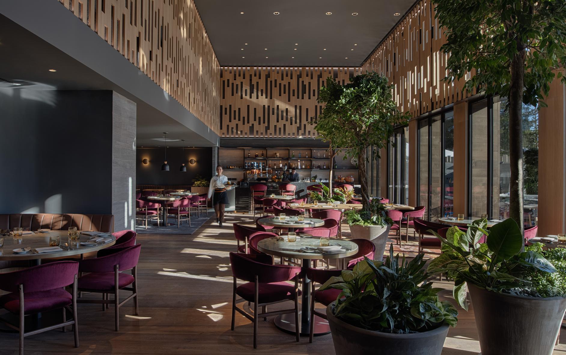 Restaurant dining room with D2 two-inch downlights providing full-spectrum lighting and architectural wood slat ceiling detail