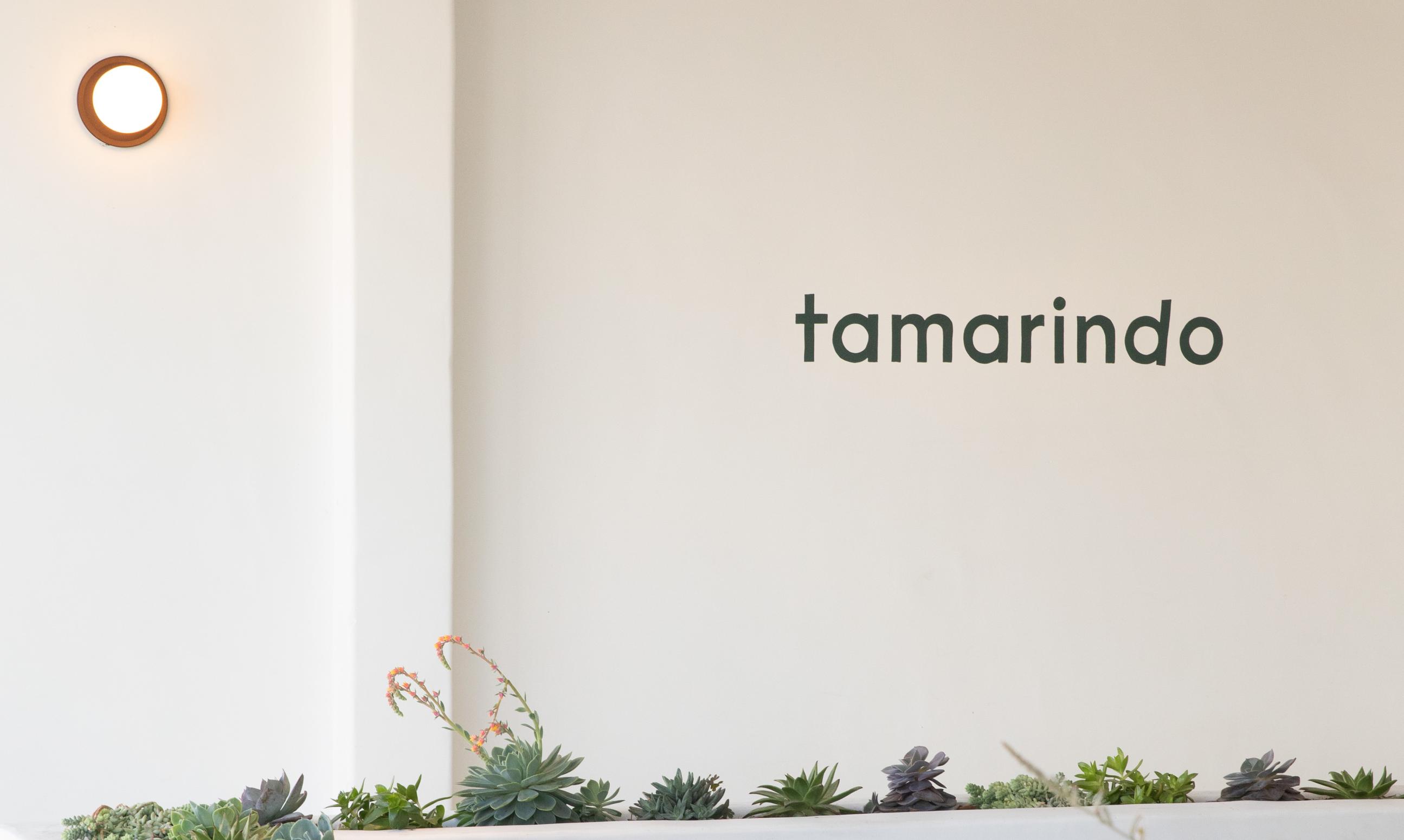 restaurant-tamarindo-28.jpg